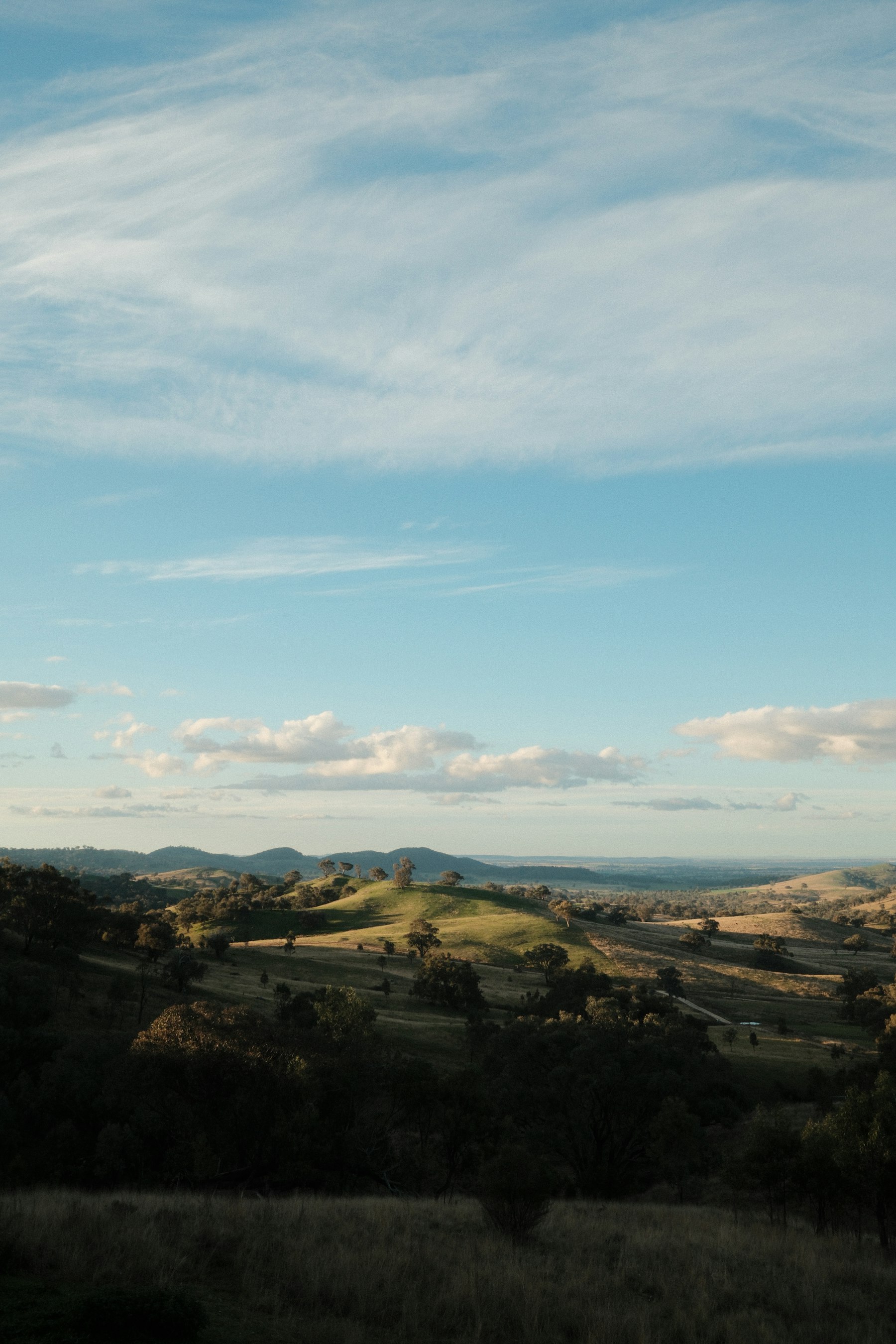 Golden light over the Australian bush on the NSW Central Coast
